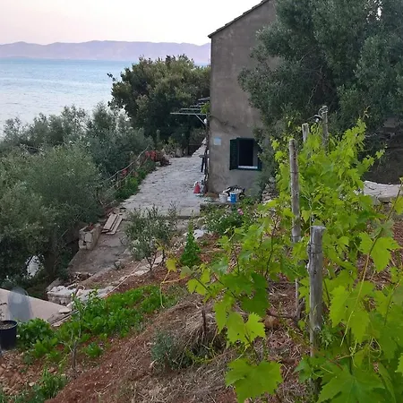 Seaside Secluded Cove Torac, Hvar - 4044 Apartment