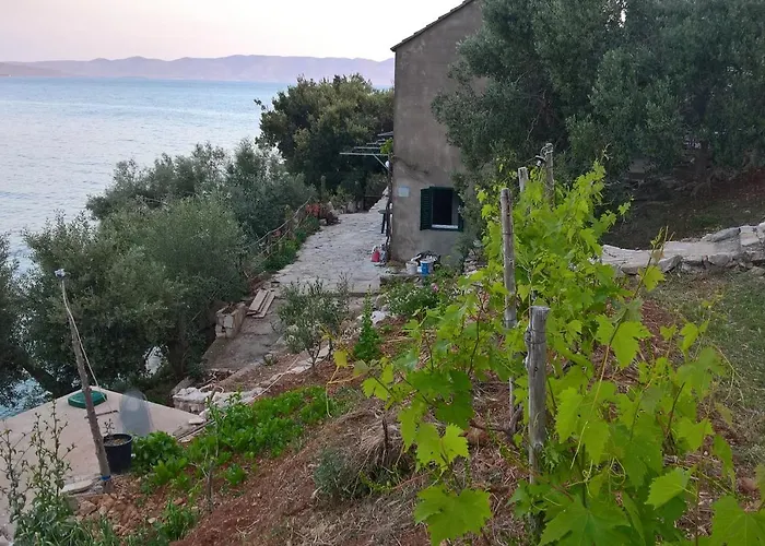 Seaside Secluded Cove Torac, Hvar - 4044 아파트